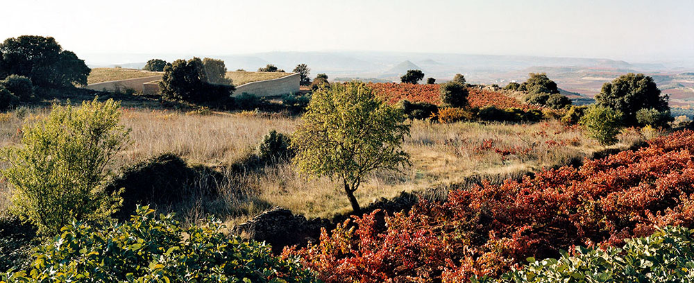 Compañía de Vinos de Telmo Rodríguez