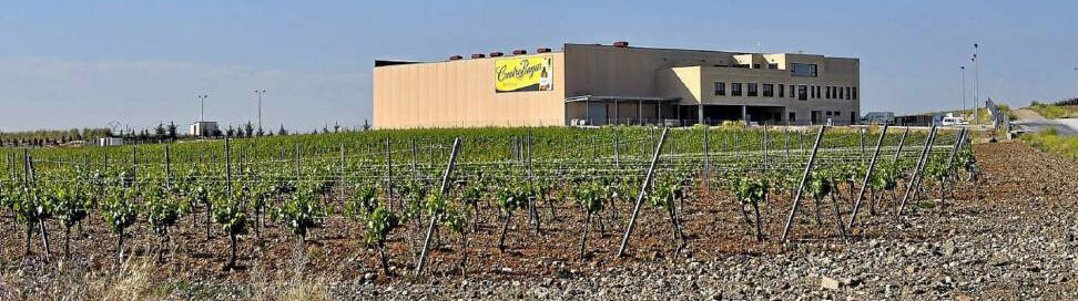 Agrícola Castellana Bodega Cuatro Rayas