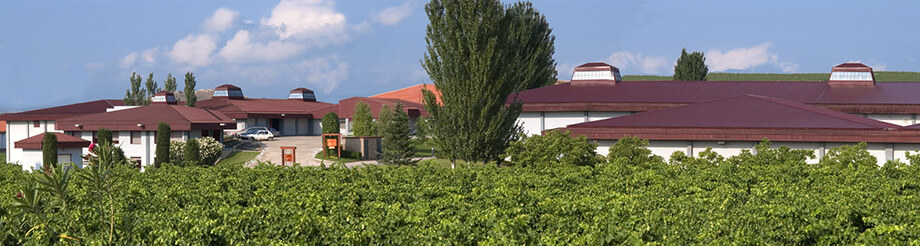 Bodegas Valdemar