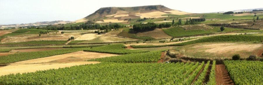 Bodegas y Viñedos Valderiz