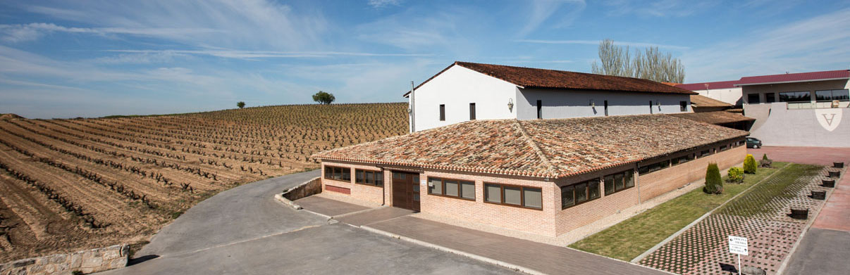 Bodegas y Viñedos Valderiz