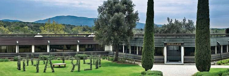 Tenuta dell'Ornellaia