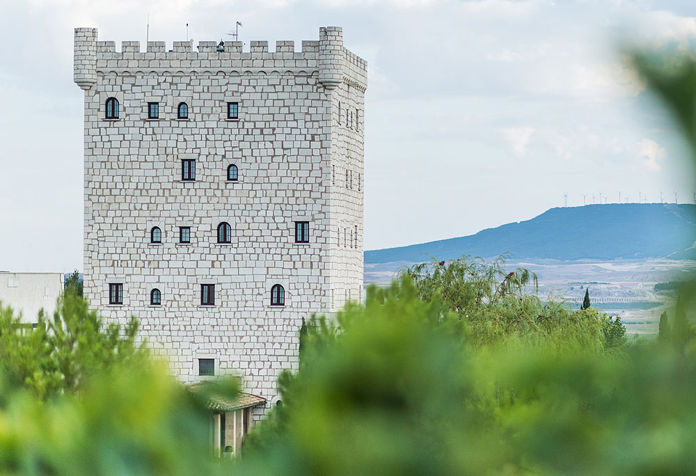 Bodega Pago de Cirsus