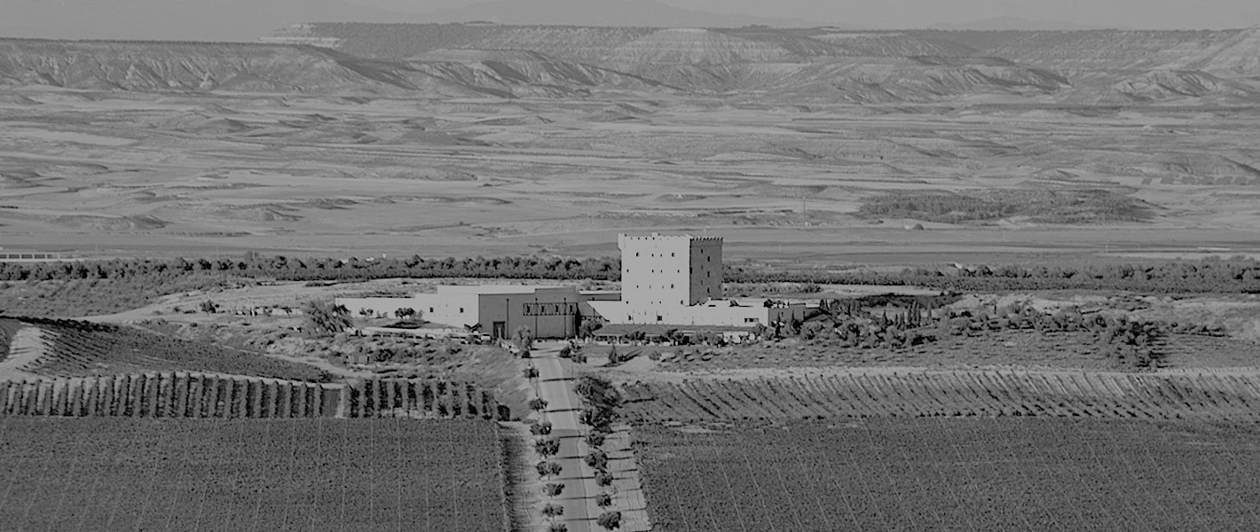 Bodega Pago de Cirsus